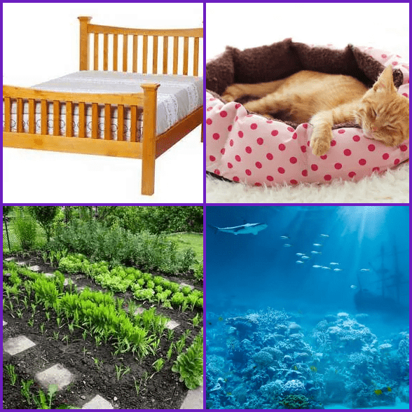 4pics1word BED - answer