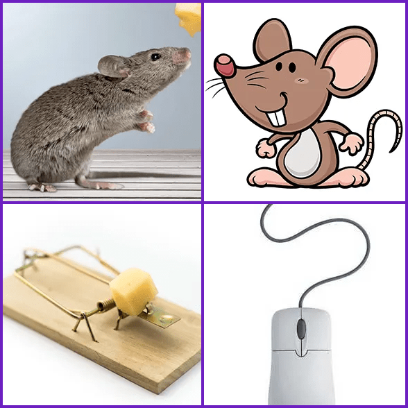 4 Pics 1 Word –  MOUSE answer